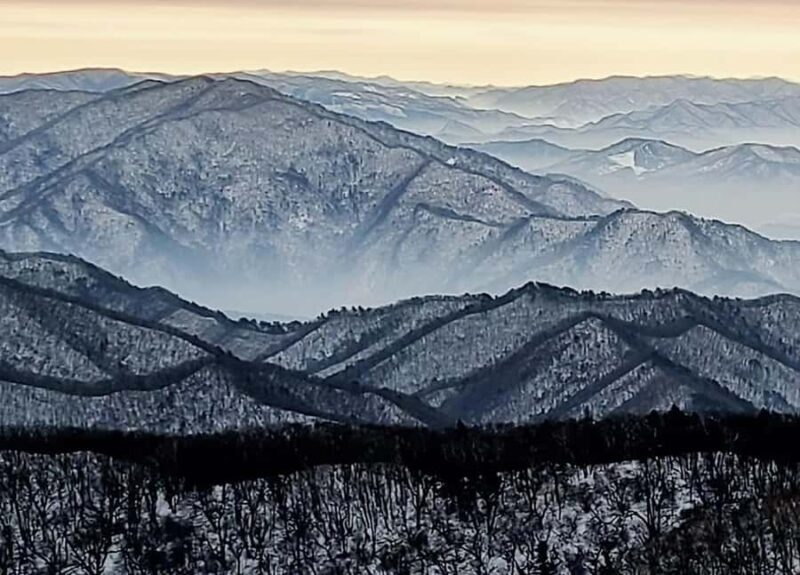 Seoul: Balwangsan Cable Car & Samyang Ranch One Day Tour - Authentic Traveler Insights