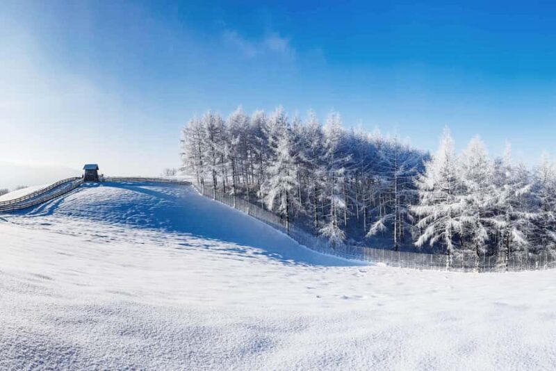 Seoul: Balwangsan Cable Car & Samyang Ranch One Day Tour - Who Is This Tour Best For?