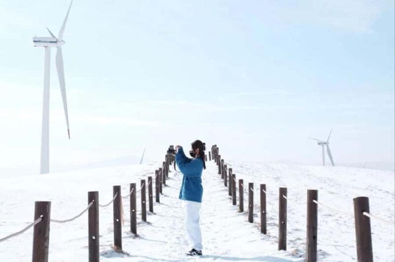 Seoul: Balwangsan Cable Car & Samyang Ranch One Day Tour - The Sum Up