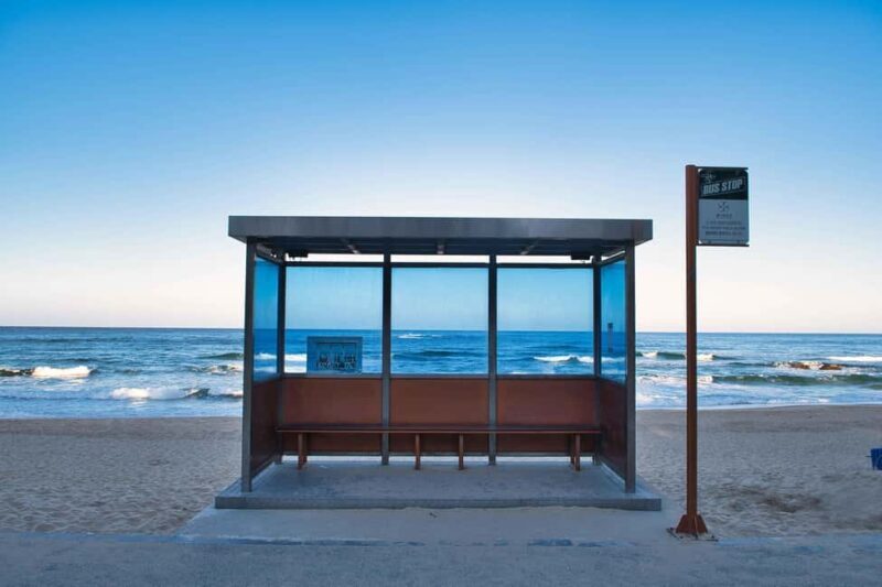 Seoul: BTS Gangneung Fan Tour & Ulleung Island Escape - Key Points