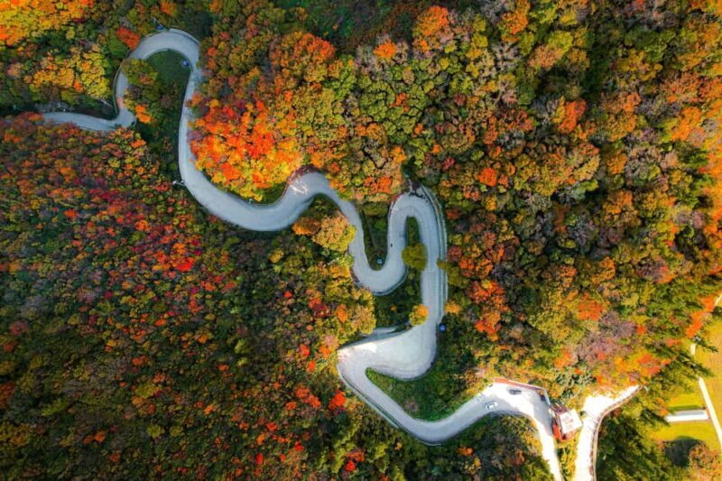 Seoul: BTS Gangneung Fan Tour & Ulleung Island Escape - The Sum Up