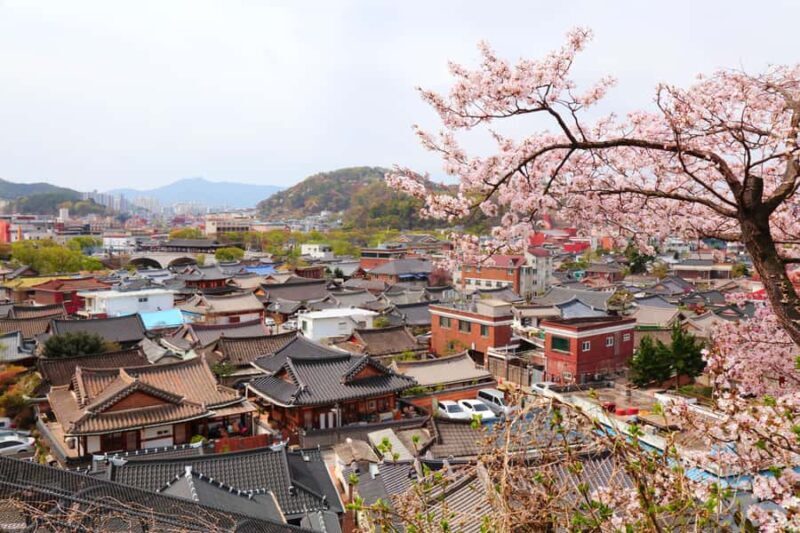 Seoul/Busan: Gwangyang Plum Blossom Festival Spring Day Tour - What Makes This Tour Stand Out?