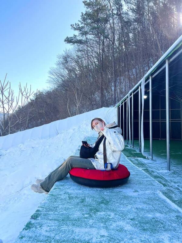 Seoul: Cheongyang Ice Festival & Strawberry Picking - Key Points