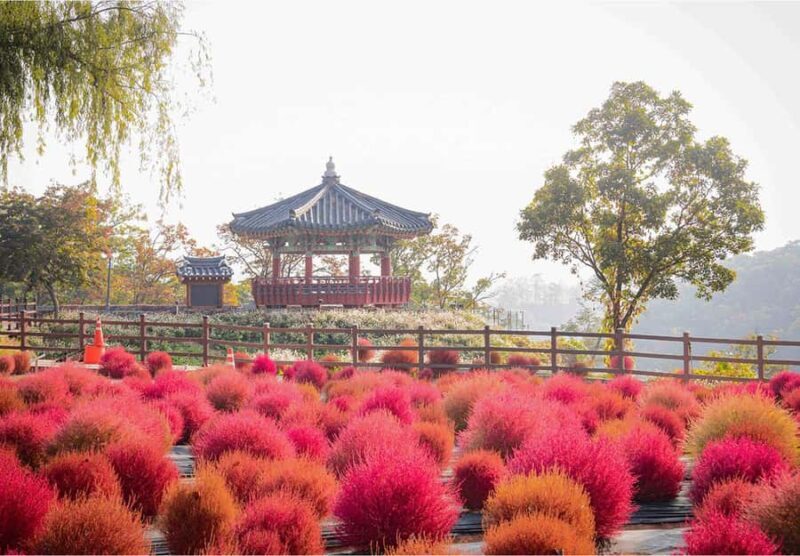 Seoul: Cheorwon DMZ & 2nd Tunnel Small Group Tour - The Journey into Korea’s Past and Present