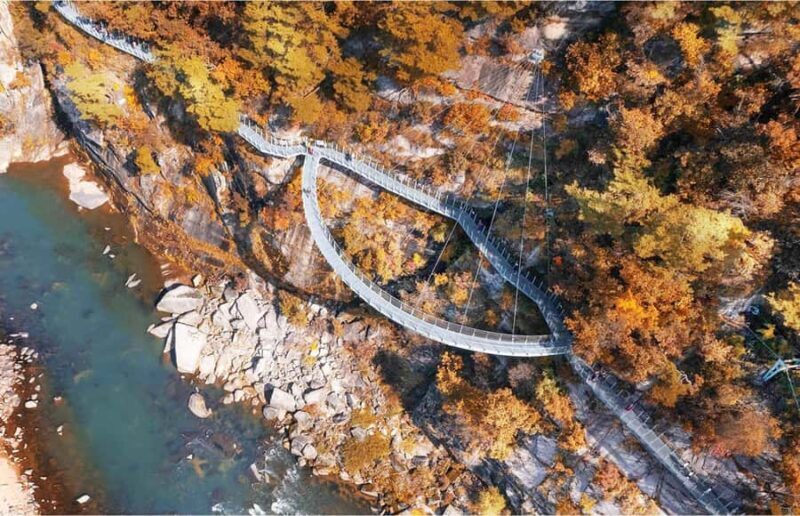 Seoul: Cheorwon DMZ & 2nd Tunnel Small Group Tour - Frequently Asked Questions