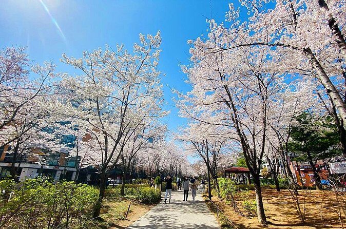 Seoul Cherry Blossom Walking Tour to Gyeongui Line Park - Who is This Tour Best Suited For?