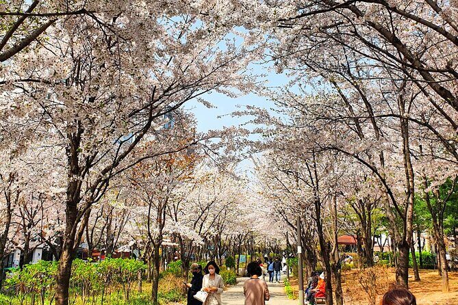 Seoul Cherry Blossom Walking Tour to Gyeongui Line Park - The Sum Up
