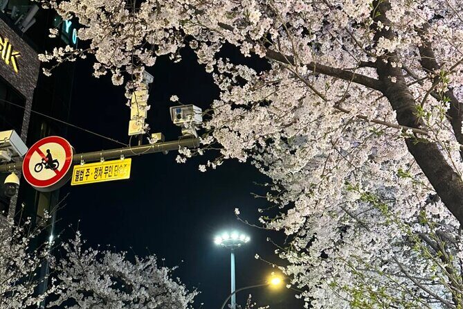 Seoul City Cherry Blossom Private Sightseeing Tour - Key Points