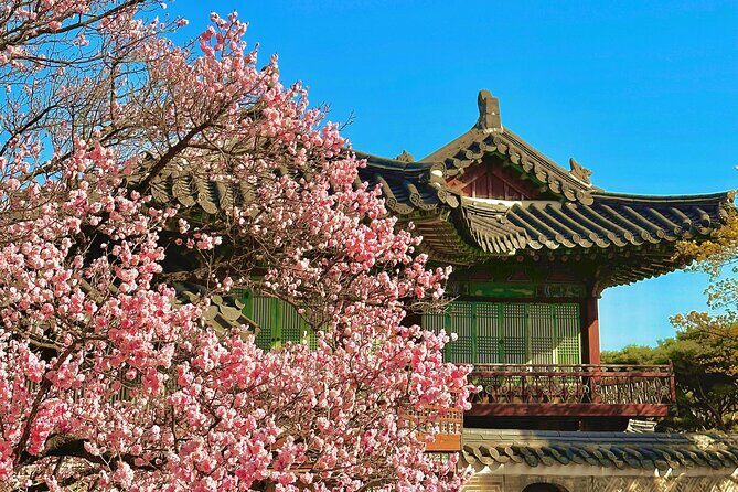 Seoul City Cherry Blossom Private Sightseeing Tour - FAQs
