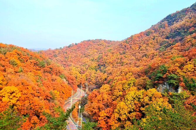 Seoul City Highlights Tour: Hanok Village, Scenic Routes - An Overview of the Experience