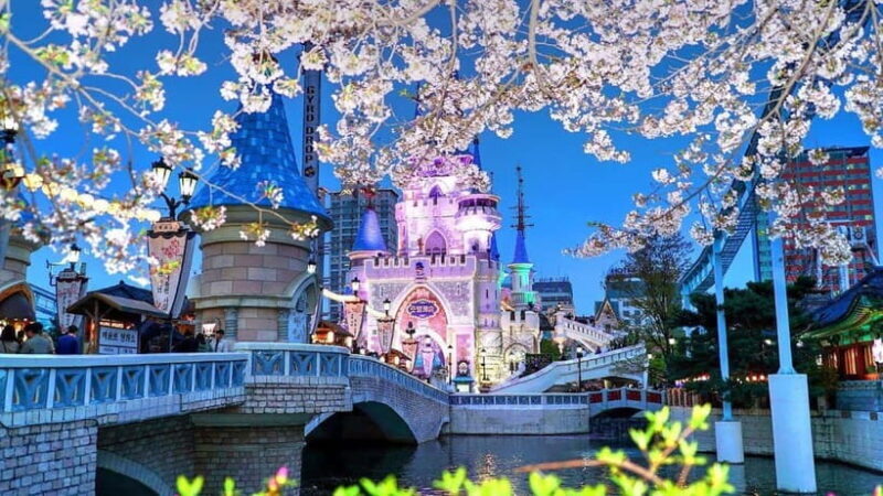 Seoul: City or Suburbs Private Chartered Car Tour for 10HR - The Sum Up