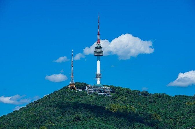 Seoul City Pass Classic Top Attractions Palaces and River Cruise - Who Is This Tour Best For?