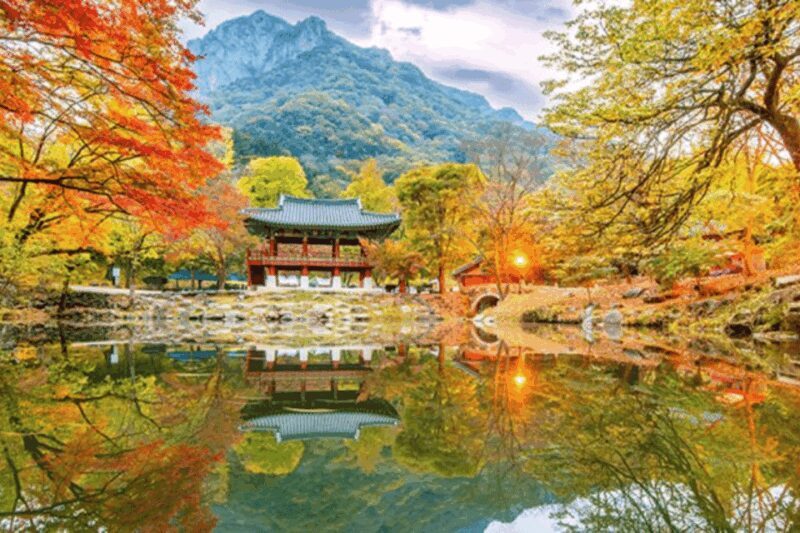 Seoul: Classic Naejangsan National Park Shuttle Bus - FAQs