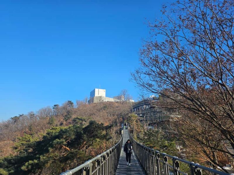 Seoul: Closest Observatory with North Korea View - Who Should Consider This Tour?