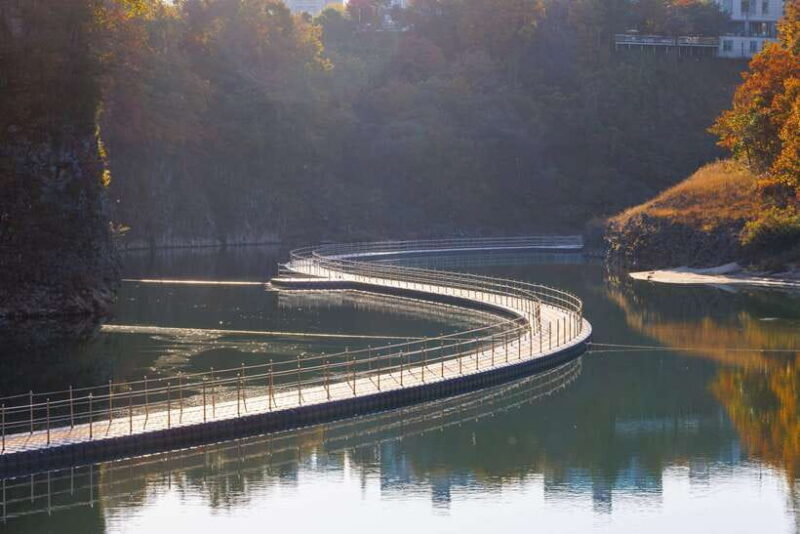 Seoul: DMZ 2nd Tunnel and Suspension Bridge Tour - Who Should Consider This Tour?