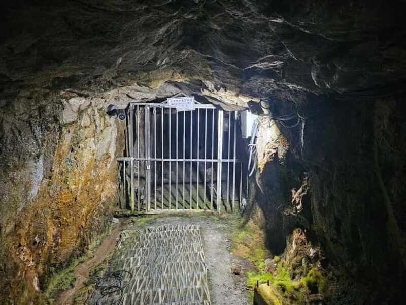 Seoul: DMZ 2nd Tunnel and Suspension Bridge Tour - Final Thoughts