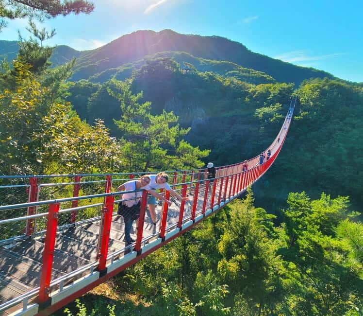 Seoul: DMZ, 3rd Tunnel and Optional Suspension Bridge Tour - The Sum Up