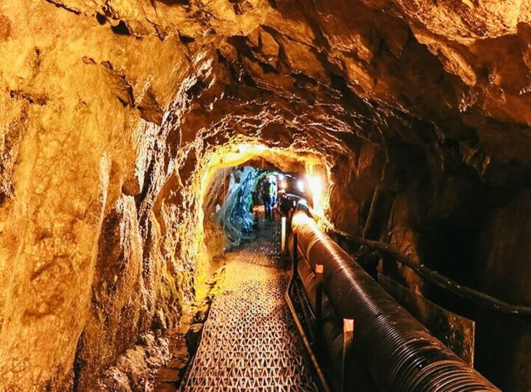 seoul-dmz-3rd-tunnel-and-optional-suspension-bridge-tour