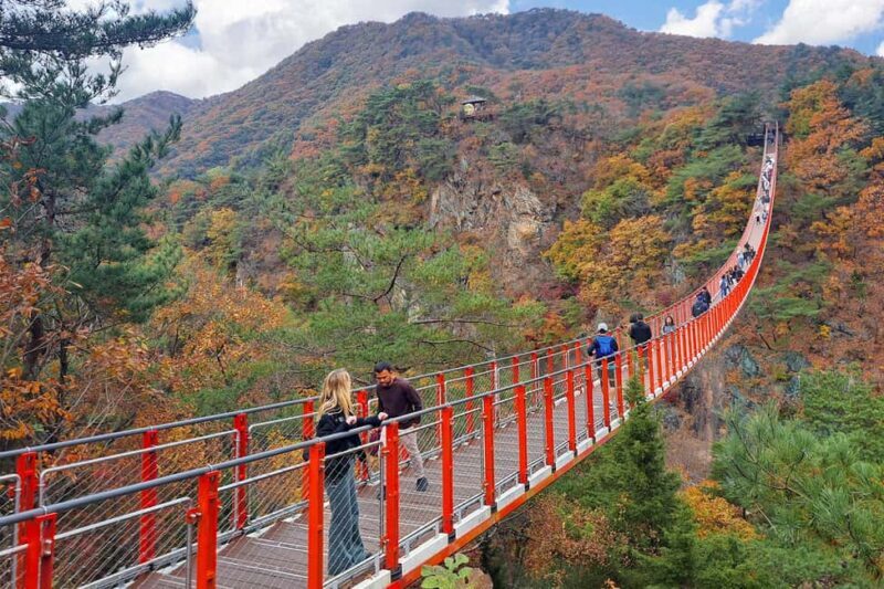 Seoul: DMZ Guided Tour with Suspension Bridge and Gondola - The Sum Up: Is This Tour Worth It?