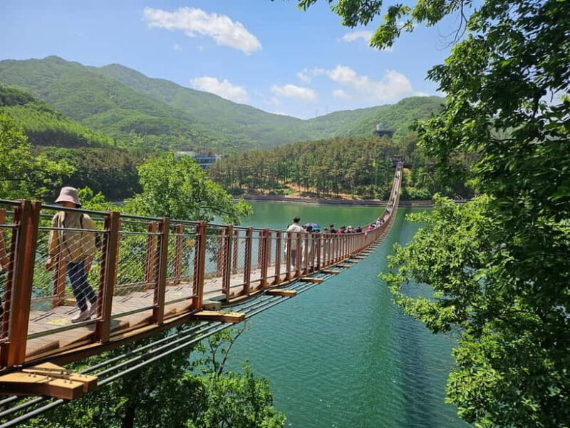 Seoul: DMZ Tour & North Korean Defector Meet Up (As Add-on) - Optional Suspension Bridges and Their Appeal