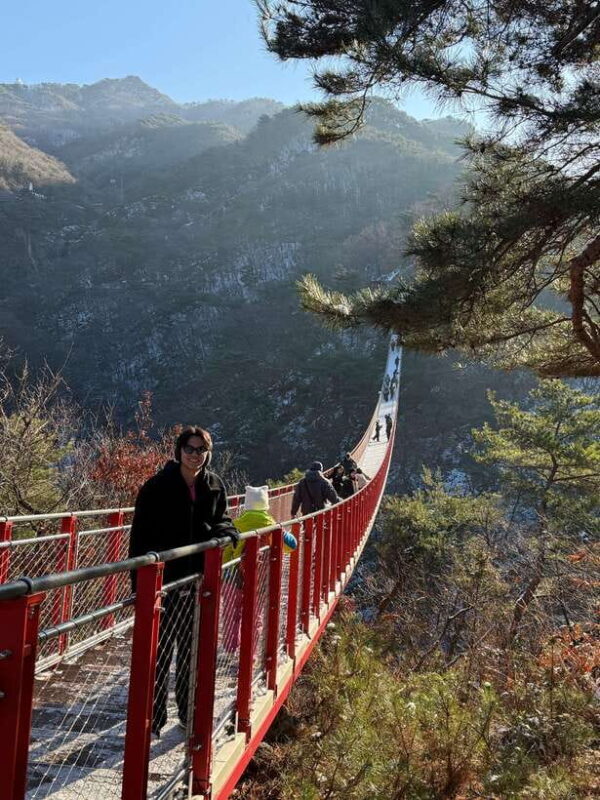 Seoul: DMZ Tour & North Korean Defector Meet Up (As Add-on) - The Unification Village and The Sum Up