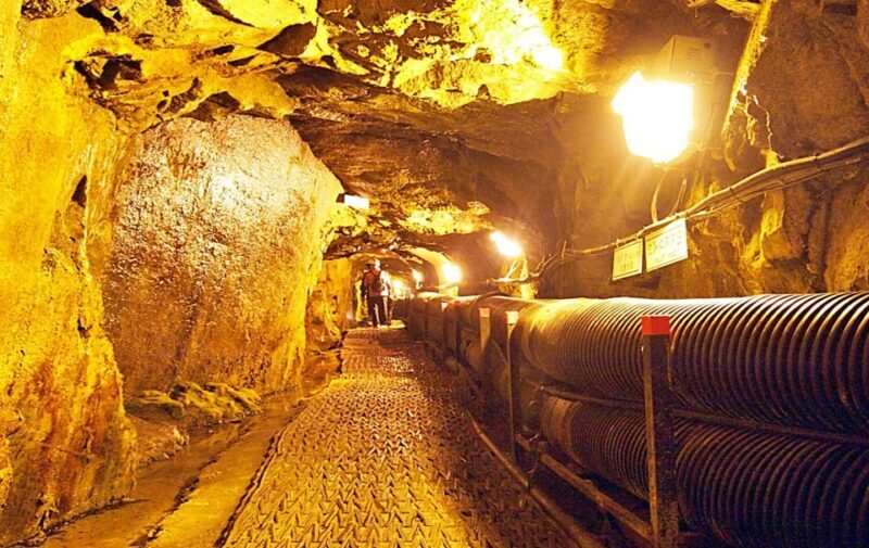 Seoul: DMZ Tour with North Korea Experience Hall - 365 Days - What to Expect on the DMZ Tour