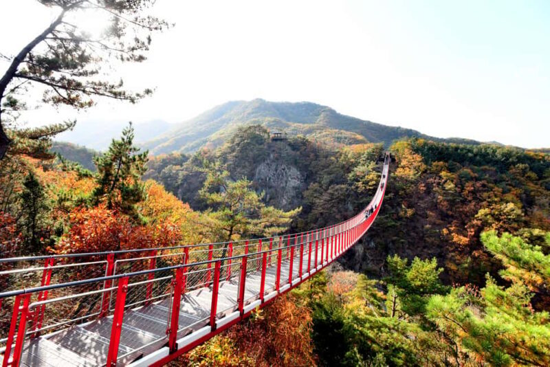 Seoul: DMZ Tour with Optional Suspension Bridge - Key Points