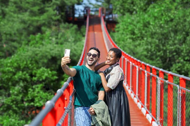 Seoul: DMZ with Optional Suspension Bridge, North Korea View - Who Should Consider This Tour?