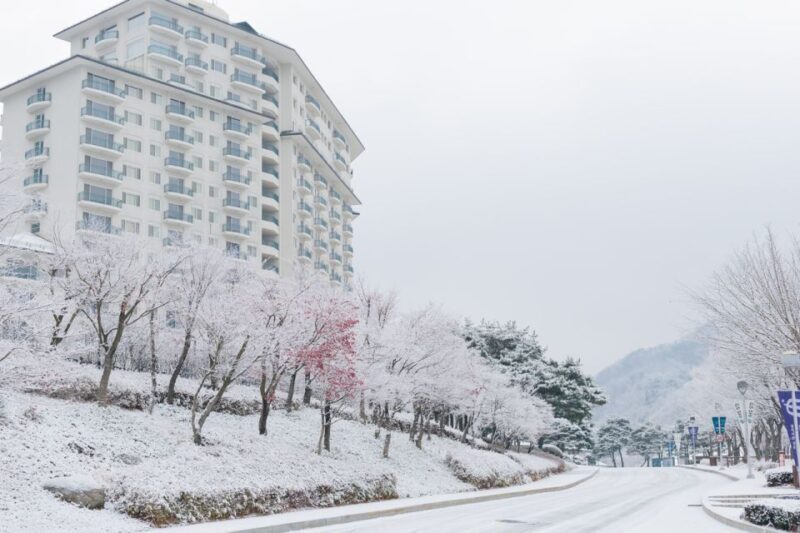 Seoul: Elysian Gangchon Winter Ski Resort Fun Day Tour - FAQ