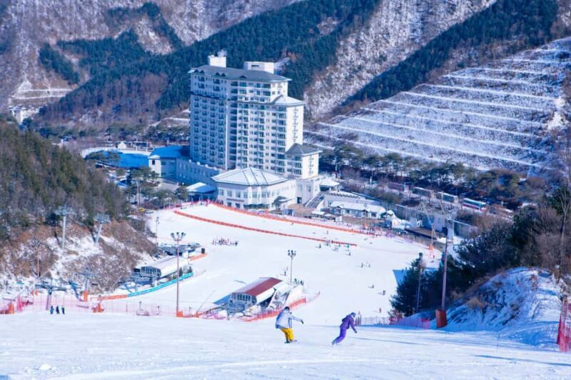 Seoul: Elysian Gangchon Winter Ski with Eobi Ice Valley Tour - Who Will Love This Tour?