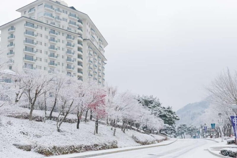 Seoul: Elysian Ski Resort & Eobi Ice Valley - Key Points