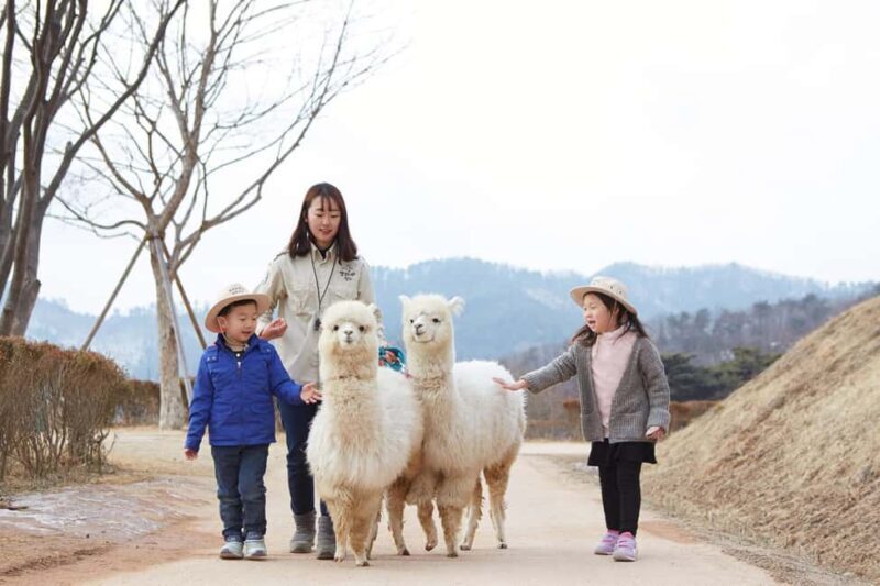 Seoul: Eobi Ice Valley, Alpaca World, Nami Island and More - What to Expect from the Tour