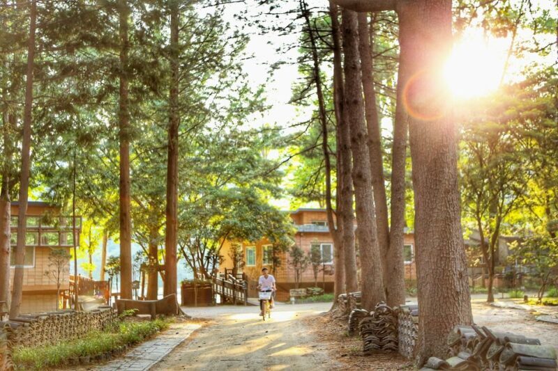 Seoul: Eobi Valley(Winter), Strawberry, Nami Island and Bike - Key Points