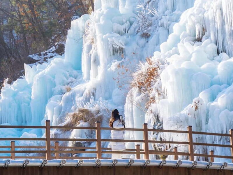 Seoul: Eobi Valley(Winter), Strawberry, Nami Island and Bike - Cycling and Railbiking: Fun and Unique Perspectives