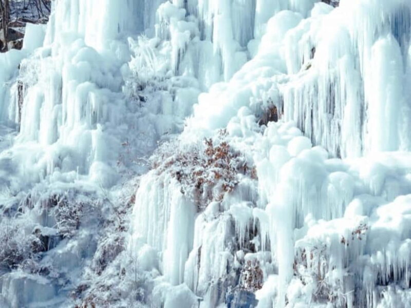 Seoul: Eobi Valley(Winter), Strawberry, Nami Island and Bike - What Reviewers Are Saying