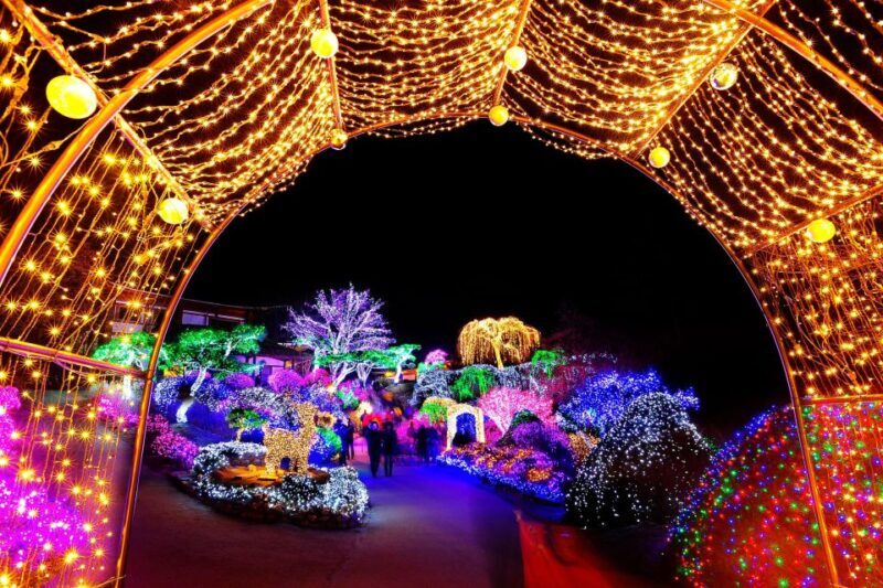 Seoul: Eobi Valley(Winter), Strawberry, Nami Island and Bike - Who Is This Tour Best For?