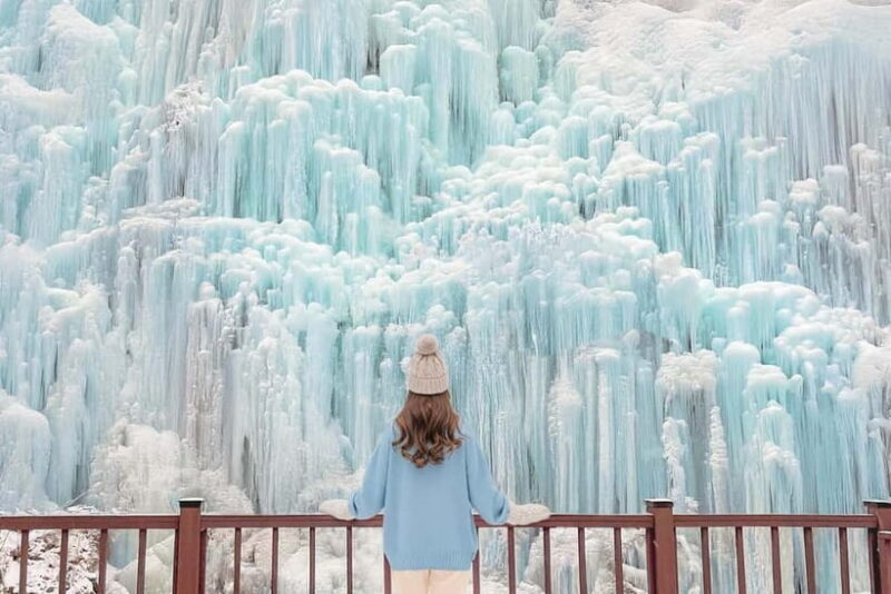 Seoul: Eobi+Nami+Hanbok(+RailBike or Strawberry Options)Tour - The Itinerary: What to Expect From Start to Finish