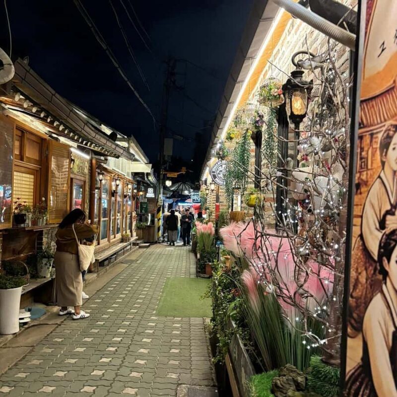 Seoul Evening Highlights: Ikseon-dong, Naksan & Bugak View - Discover Seoul’s Nighttime Charms with the Evening Highlights Tour