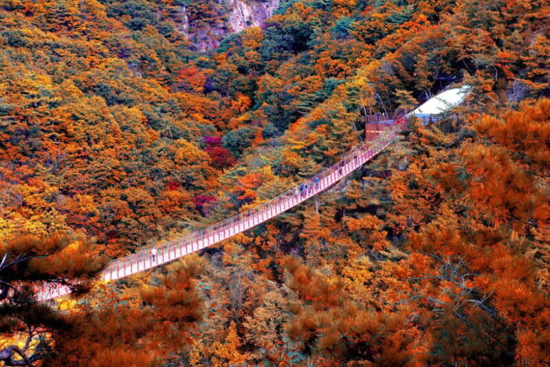 Seoul Full-Day City Tour: Hanok Village, Scenic Routes - Why This Tour Offers Great Value