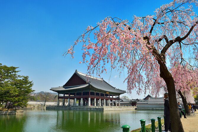 Seoul Full day Private Tour Gyeongbokgung Palace, Insadong & More - Key Points
