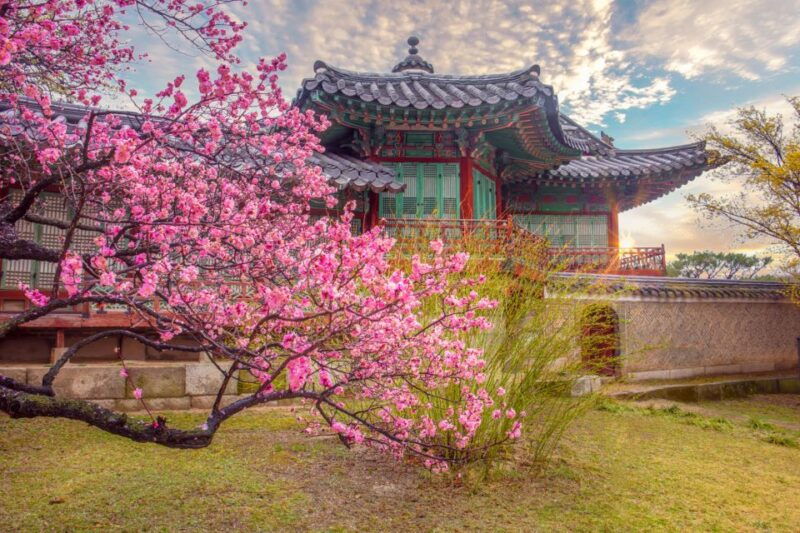 seoul-gyeongbok-palace-and-bukchon-hanok-walking-tour