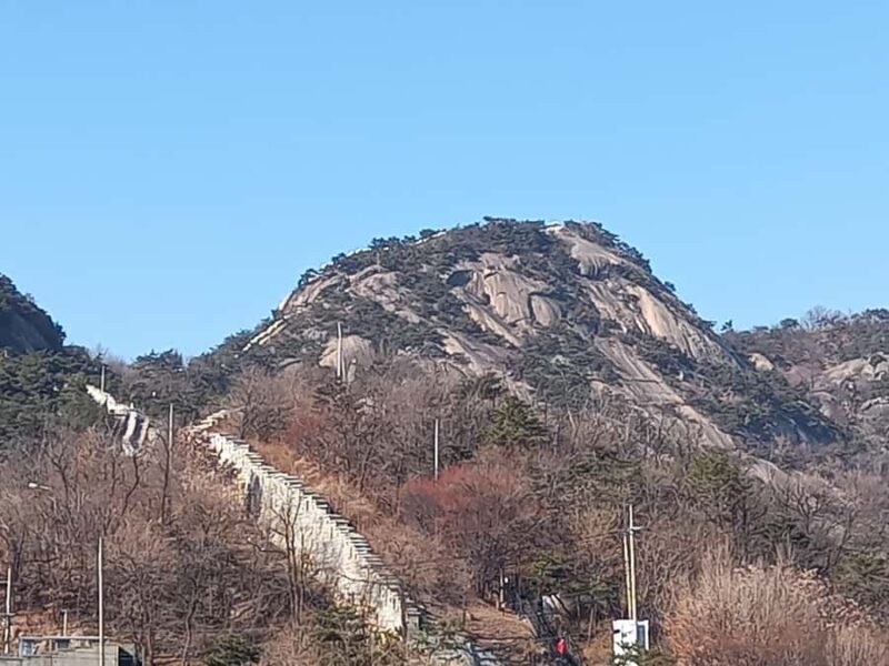 Seoul: Gyeongbokgung palace and Inwangsan Mt. Hiking Tour - An In-Depth Look at the Tour Experience
