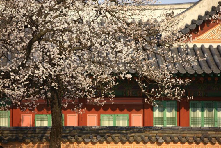 seoul-gyeongbokgung-palace-tour-lunch-at-authentic-market