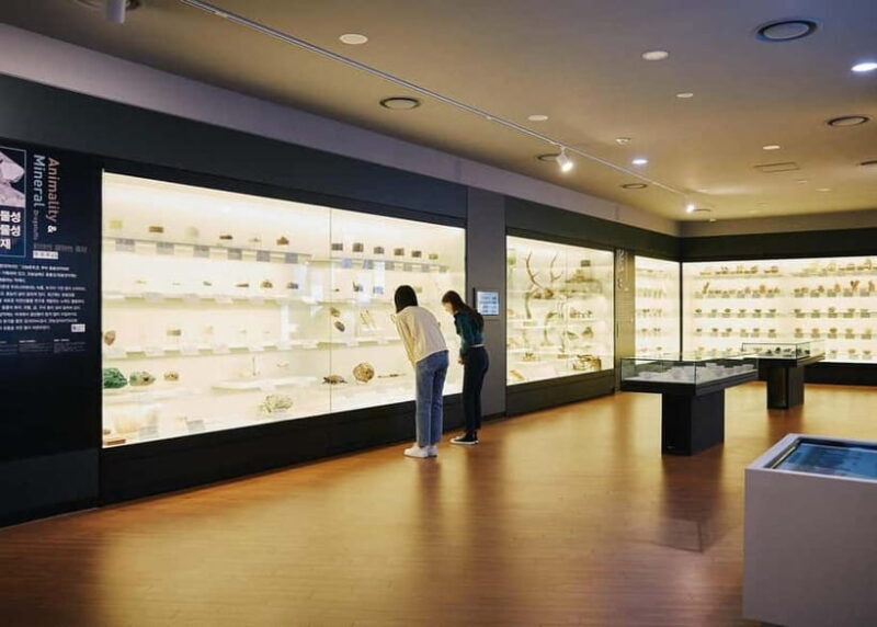 Seoul: Gyeongdong Market Healing Walking Tour - Practical Tips for the Tour