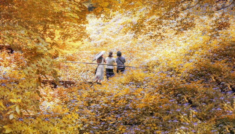 Seoul: Hwadam Forest & Namhansanseong & Korean Folk Village - Exploring the Itinerary