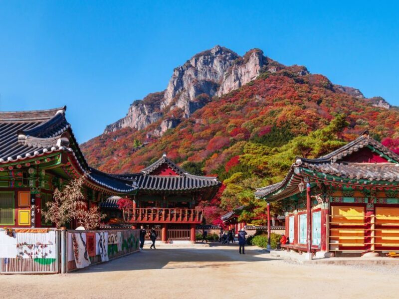 Seoul: Hwadamsup & Luge & Korea Folk Village One Day Tour - A Complete Breakdown of the Tour Experience