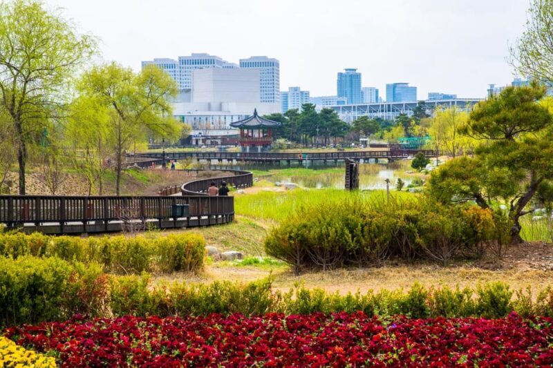 Seoul: Jangtaesan Recreational Forest Autumn Foliage Tour - The Sum Up