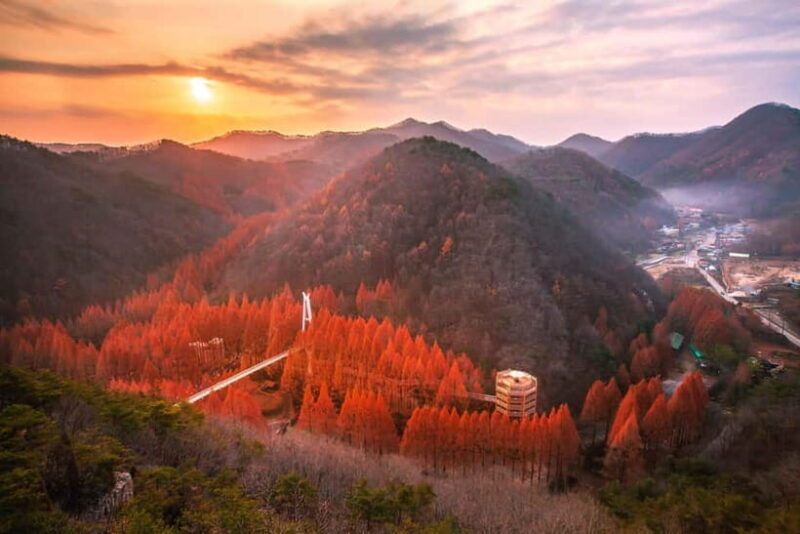 Seoul: Jangtaesan Recreational Forest Autumn Foliage Tour - FAQ