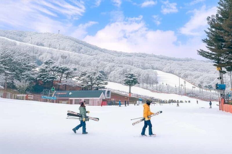 Seoul: Jisan Forest Ski Resort and Everland 1 Day Tour - An Overview of the Tour