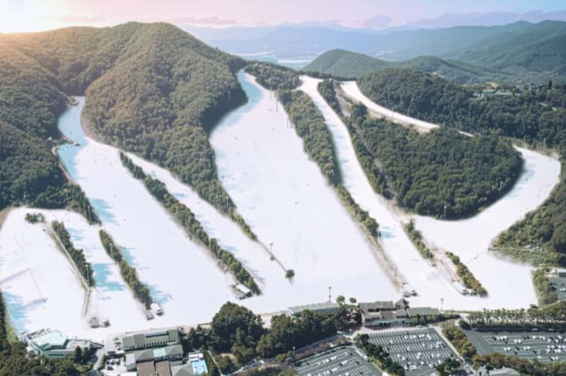 Seoul: Jisan Forest Ski Resort and Everland 1 Day Tour - Is This Tour Worth It?